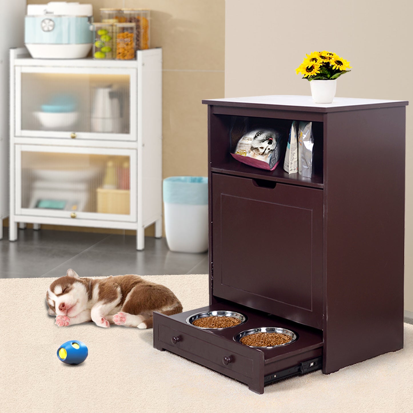 Pet Feeder Station with Storage