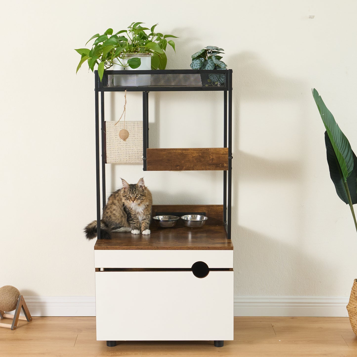 Cat Litter Box Enclosure with Cat Tree Tower, White + Walnut