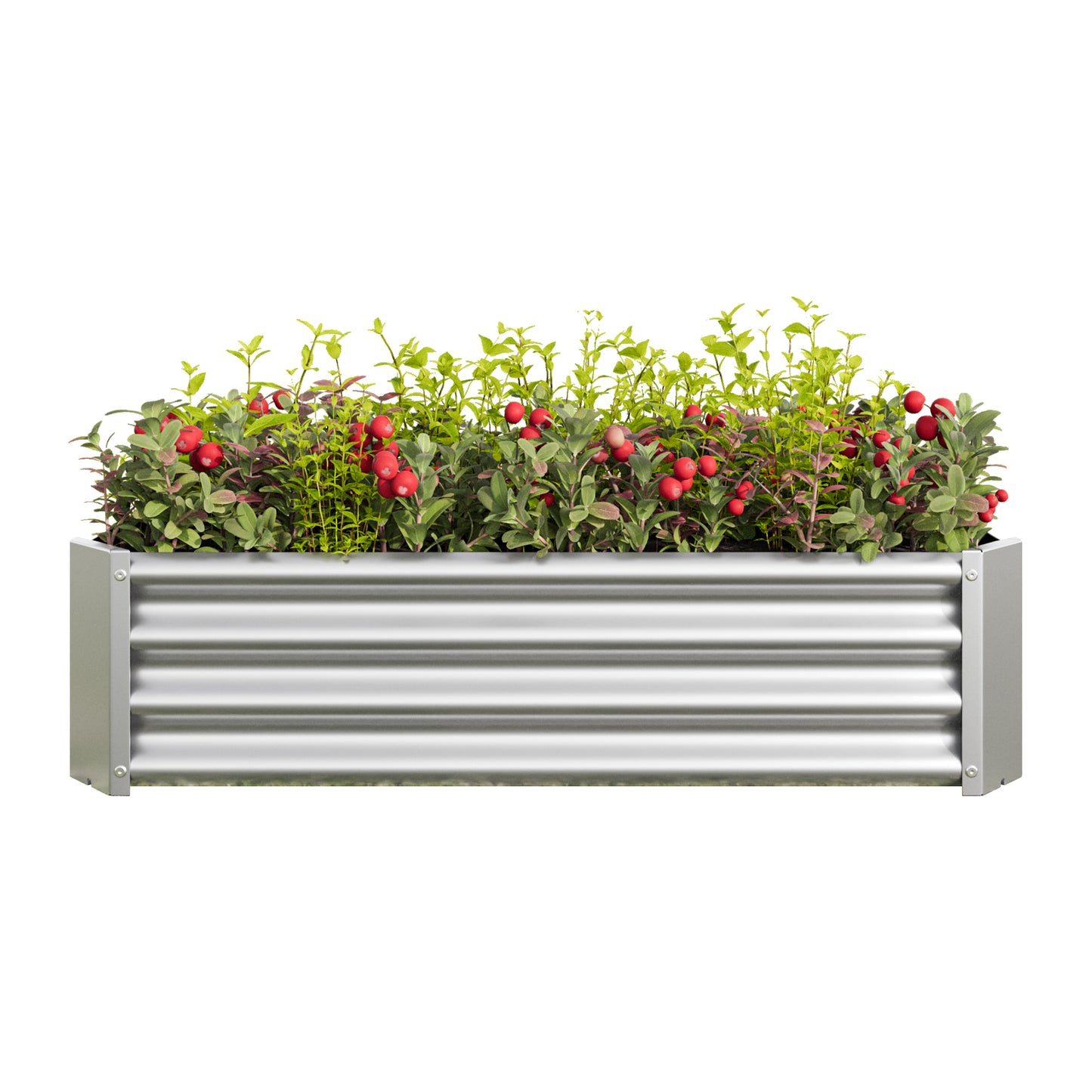 Metal Raised Garden Bed, Rectangle Raised Planter 4×2×1ft for Flowers Plants, Vegetables Herb Silver