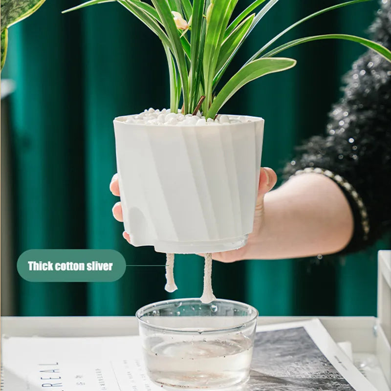 Hydroponic Automatic Water-Absorbing Planter
