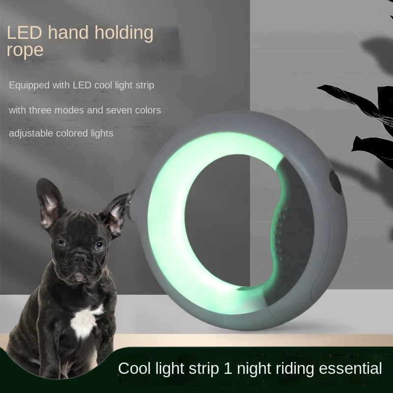 LED Retractable Dog Leash