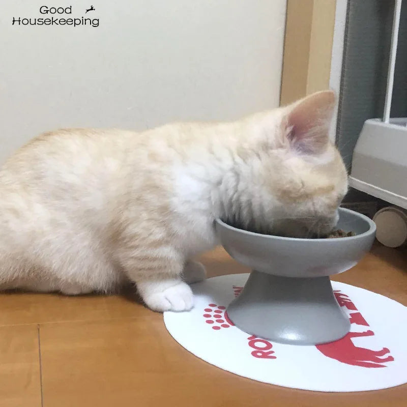 Raised Foot Ceramic Pet Bowl