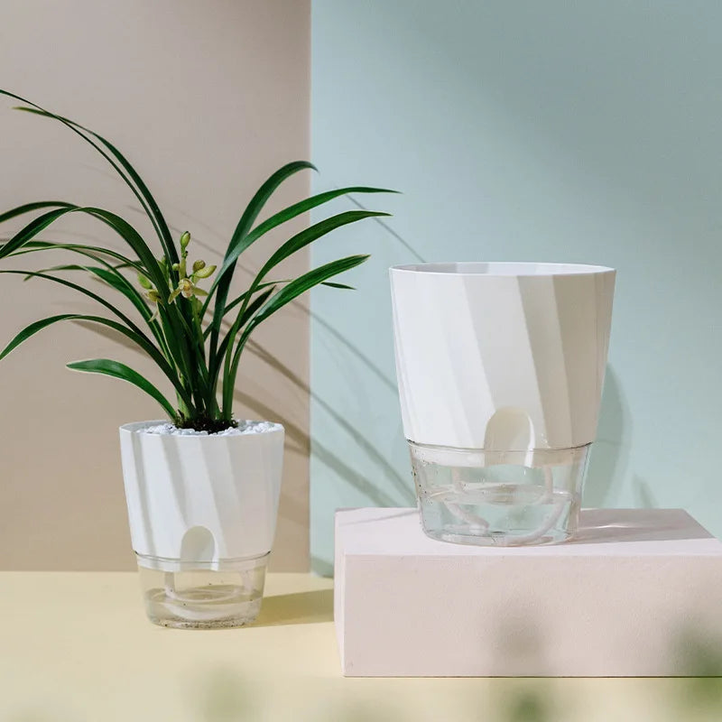 Hydroponic Automatic Water-Absorbing Planter