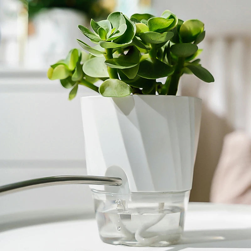 Hydroponic Automatic Water-Absorbing Planter