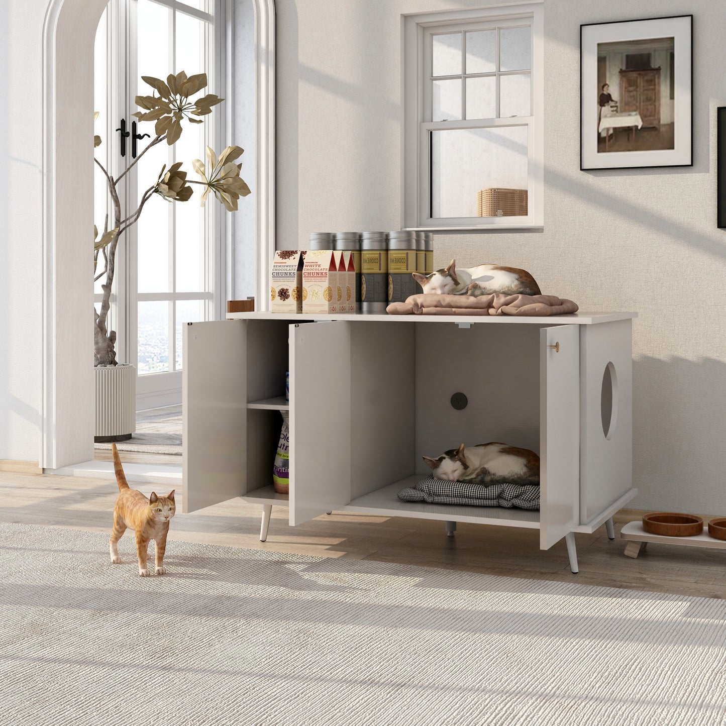 Cat Litter Box Enclosure