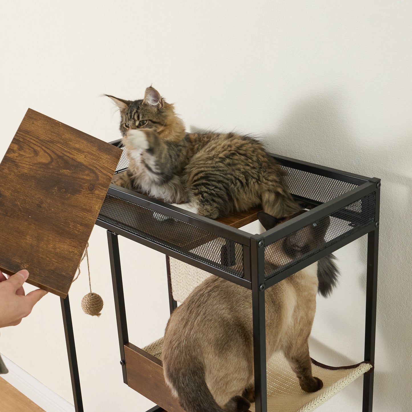Cat Litter Box Enclosure with Cat Tree Tower, White + Walnut